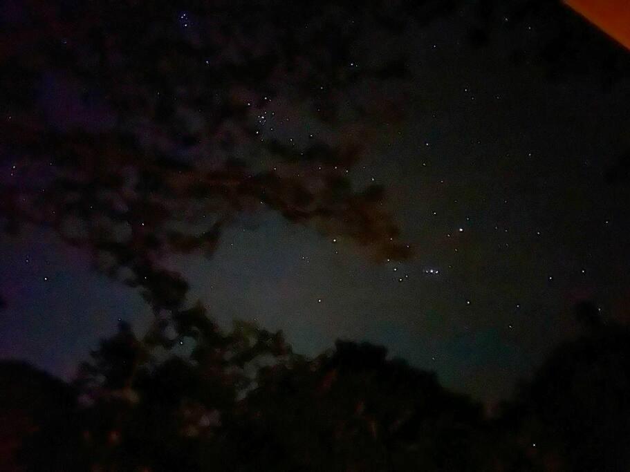 Finca Makai, Rodeado De Naturaleza, 10Min A Montezuma Villa Dış mekan fotoğraf