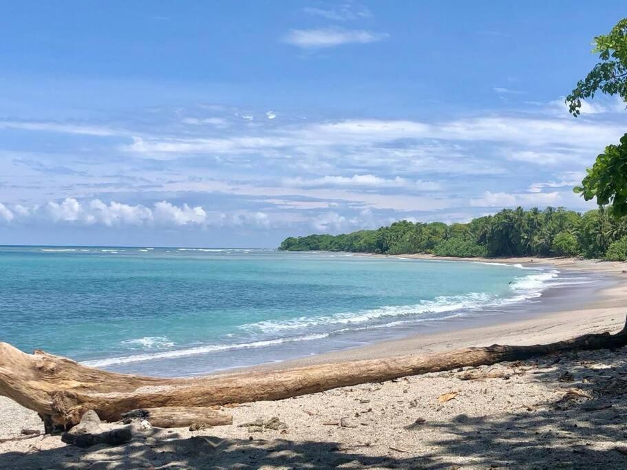 Finca Makai, Rodeado De Naturaleza, 10Min A Montezuma Villa Dış mekan fotoğraf