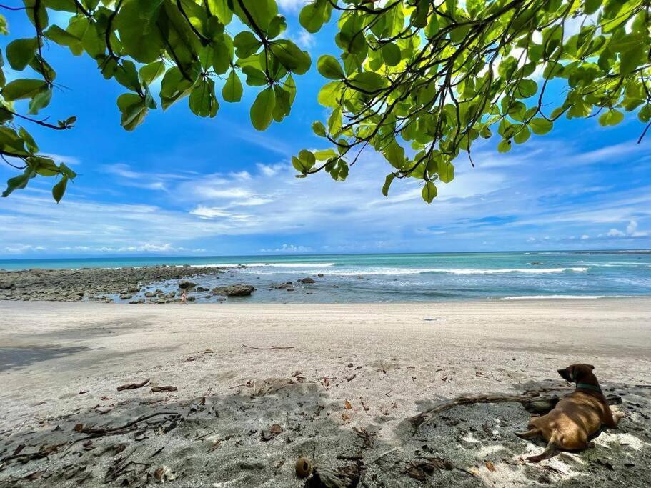 Finca Makai, Rodeado De Naturaleza, 10Min A Montezuma Villa Dış mekan fotoğraf